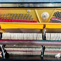 piano-co-cu-nhat-ban-schweizerstein-hu200