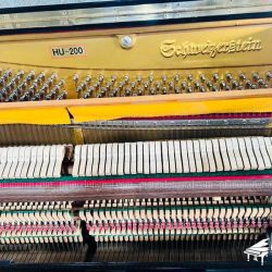 piano-co-schweizerstein-hu-200
