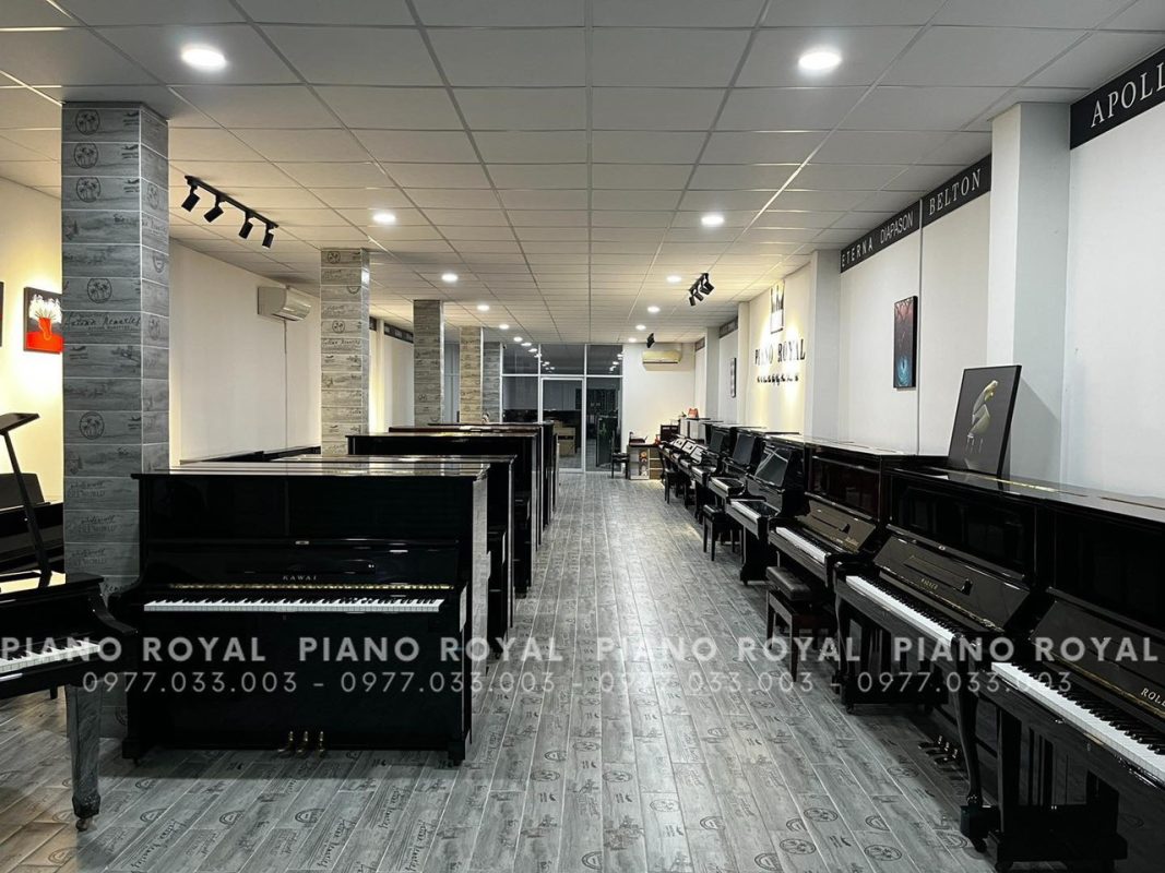 Piano Royal - Nơi cung cấp đàn Piano uy tín tại TP. HCM 8 z4400773860325 c37a640e9d8300eb4b8e874a0dfd4230