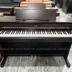 dan-piano-dien-korg-c6500