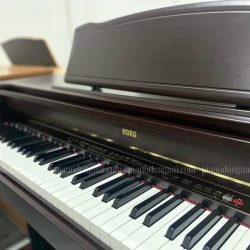 Đàn Piano Điện Korg C6500 - Piano Giá Rẻ Chất Luợng Nhật Bản