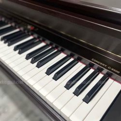 Đàn Piano Điện Korg C6500 - Piano Giá Rẻ Chất Luợng Nhật Bản