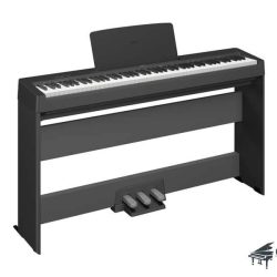Đàn Piano Điện Yamaha P145 2 P145