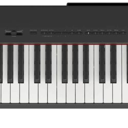 Đàn Piano Điện Yamaha P225 2 Yamaha P225B