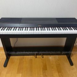 dan-piano-dien-casio-cdp-3000