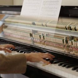 dan-piano-yamaha-nu1xa