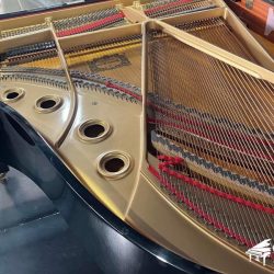 Piano Cơ Grand Yamaha G3B 2 Đàn piano upright