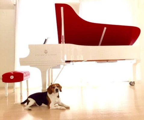 Dan Piano Red Pops for RED Parlor Grand