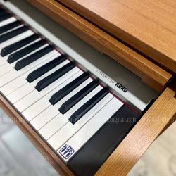Đàn Piano Điện Korg C340 2 korg c340