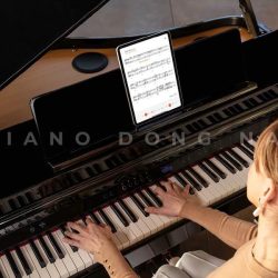 Đàn Piano Điện Roland GP6 5 Baby Grand GP 6