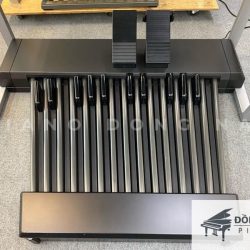 Dan Hai Tang Yamaha ELS02X