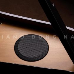 Đàn Piano Điện Roland GP6 3 GP 6