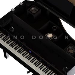 Đàn Piano Điện Roland GP6 4 GP6