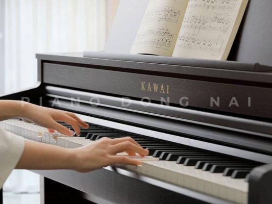 Kawai CA501