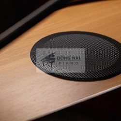 Đàn Piano Điện Roland GP3 3 Piano Dien Roland GP 3