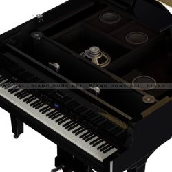 Đàn Piano Điện Roland GP9 3 Roland GP 9