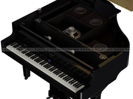 Roland GP 9