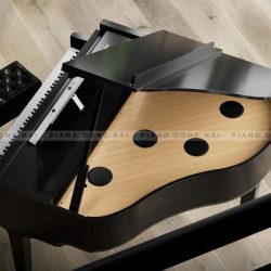 Đàn Piano Điện Roland GP9 1 Roland GP9