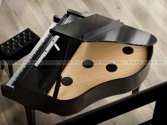 Roland GP9