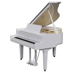 Đàn Piano Điện Roland GP9 5 Roland GP9PW