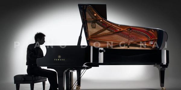 CLP800 Series